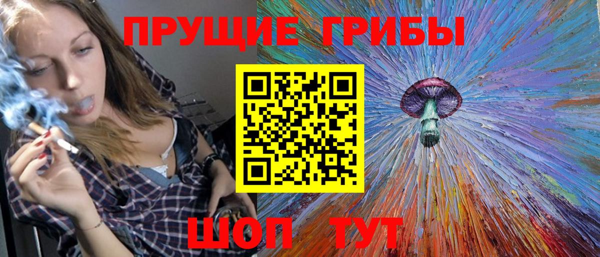 Вятские Поляны  Галлюциногенные грибы Psilocybe  Вход с VPN 
