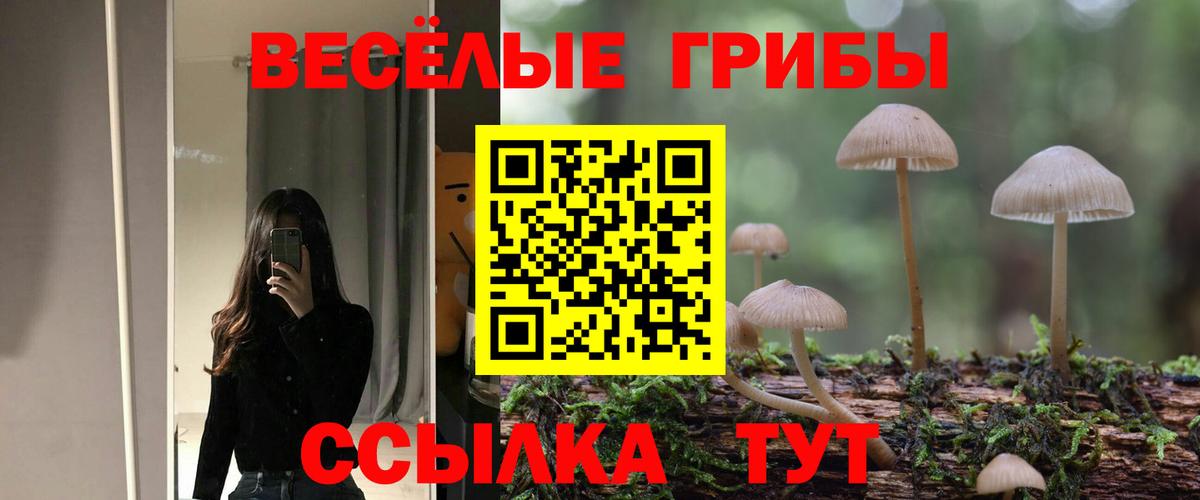 Галлюциногенные грибы Magic Shrooms Вятские Поляны